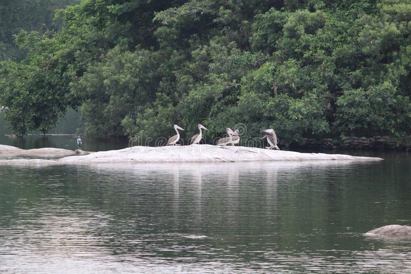 KAVERY RIVER TREK